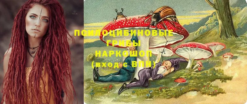 Галлюциногенные грибы Magic Shrooms  где продают наркотики  Солигалич 